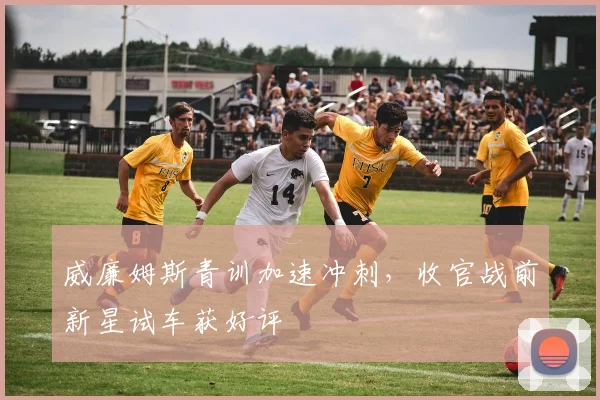 威廉姆斯青训加速冲刺，收官战前新星试车获好评