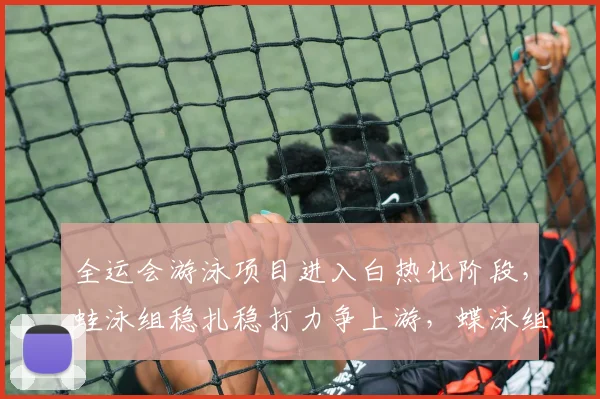 全运会游泳项目进入白热化阶段，蛙泳组稳扎稳打力争上游，蝶泳组蓄势待发盼触底反弹