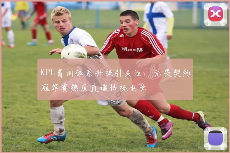 KPL青训体系升级引关注，无畏契约冠军赛热度直逼传统电竞