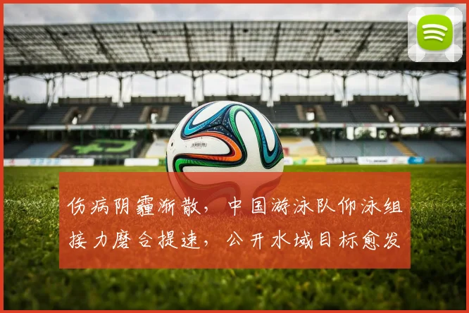 伤病阴霾渐散，中国游泳队仰泳组接力磨合提速，公开水域目标愈发清晰