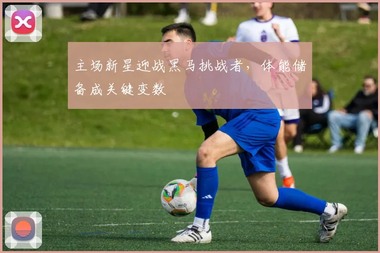 主场新星迎战黑马挑战者，体能储备成关键变数